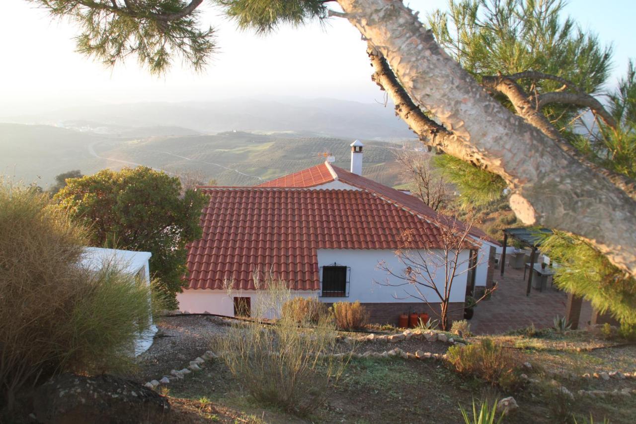 Casa Pura Vida - Malaga - Andalusie Villa Colmenar Eksteriør bilde